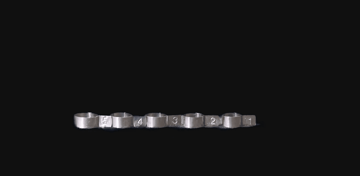 Numbered metal strip with five compartments